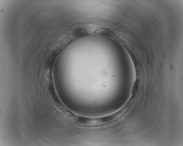 X0000064750319200602101219