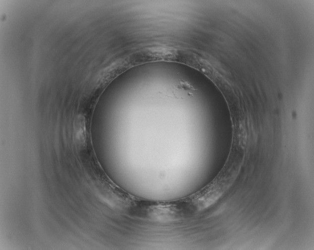 X0000064750320200602101219