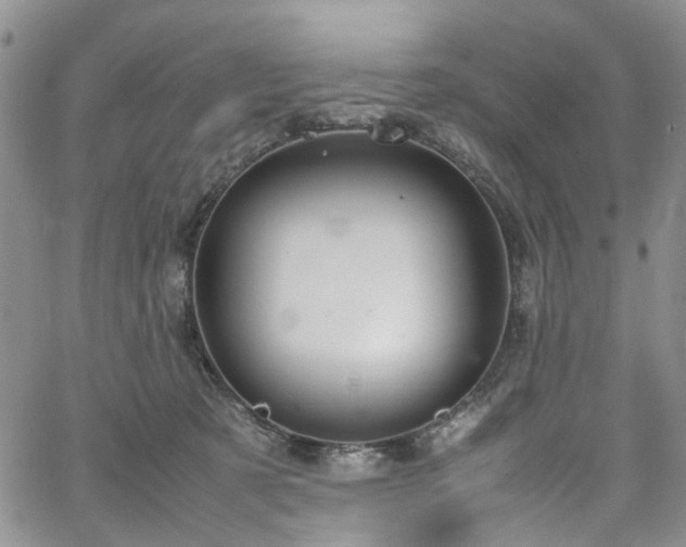 X0000064750321200602101219