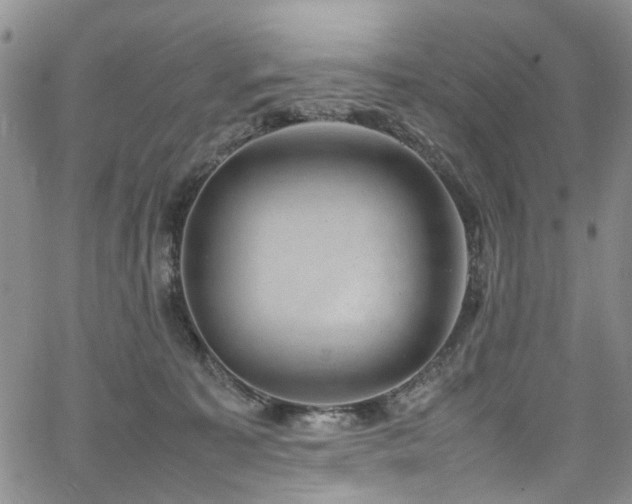 X0000064750323200602101219