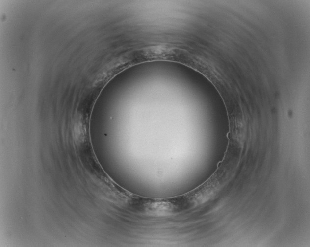 X0000064750324200602101219