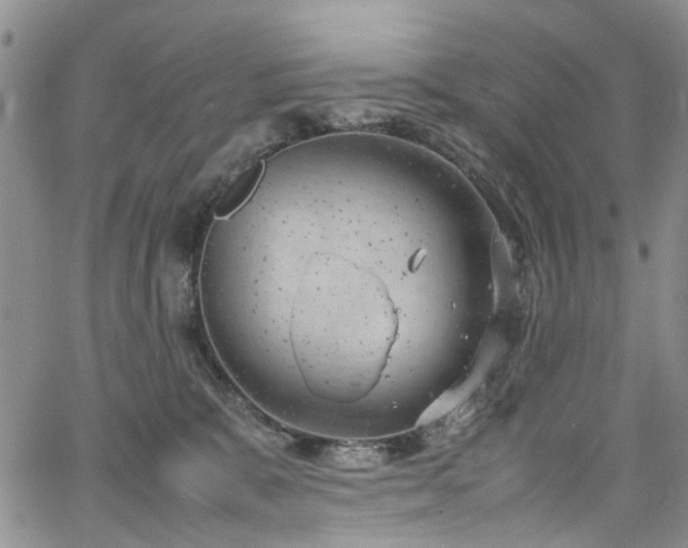 X0000064750327200602101219