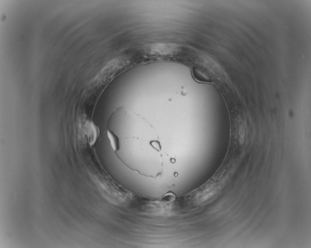 X0000064750328200602101219