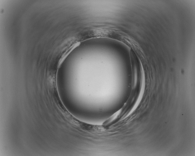 X0000064750329200602101219