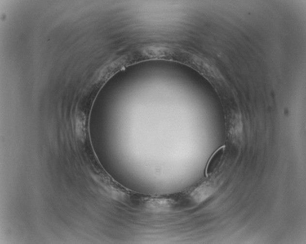 X0000064750332200602101219