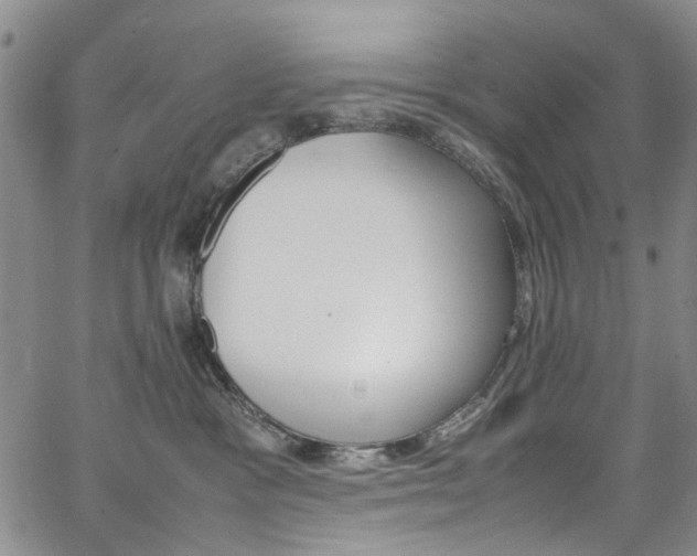 X0000064750333200602101219