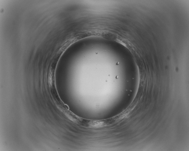 X0000064750334200602101219