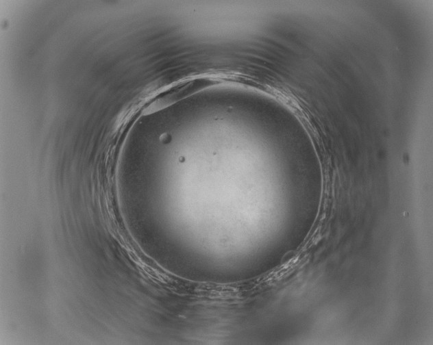 X0000064750337200602101218