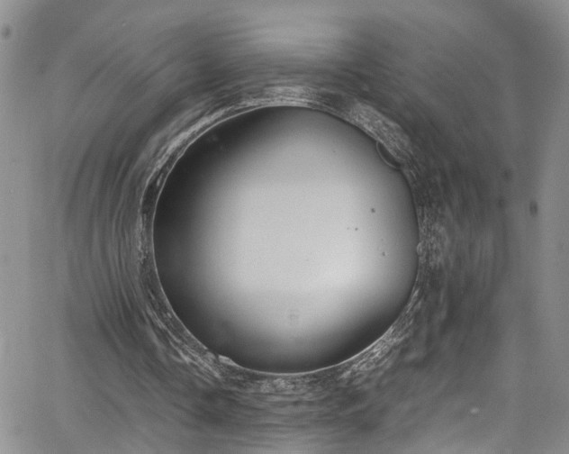 X0000064750338200602101218