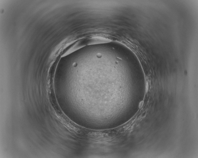 X0000064750339200602101218