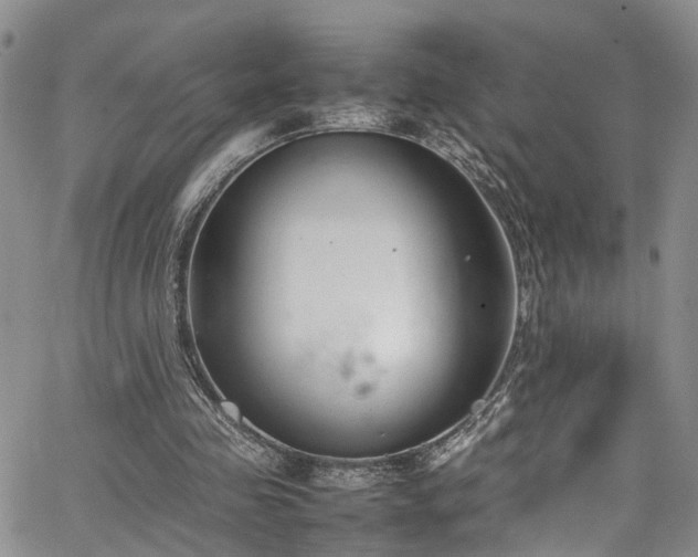 X0000064750341200602101218