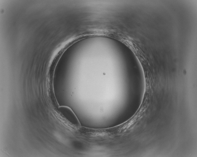 X0000064750342200602101218