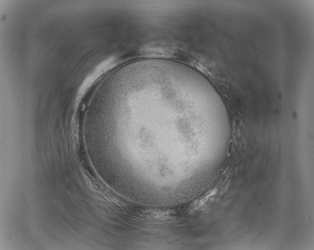 X0000064750343200602101218