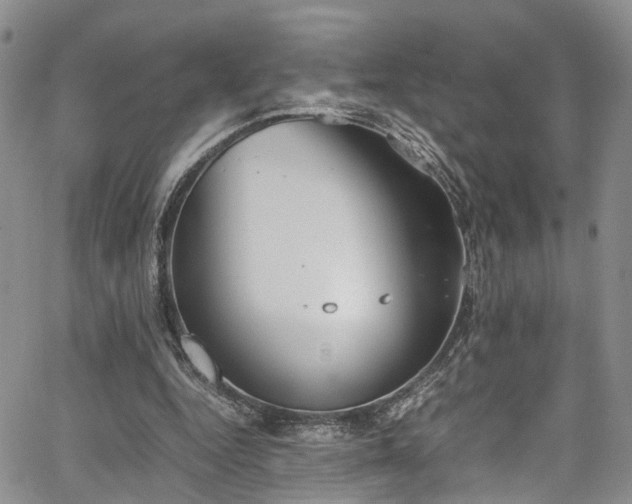 X0000064750344200602101218