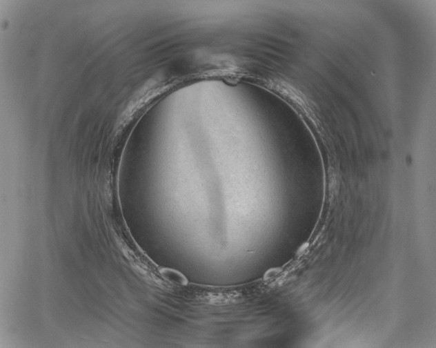 X0000064750345200602101218