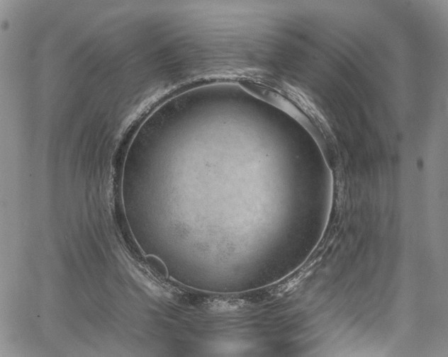 X0000064750346200602101218