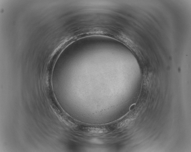 X0000064750347200602101218