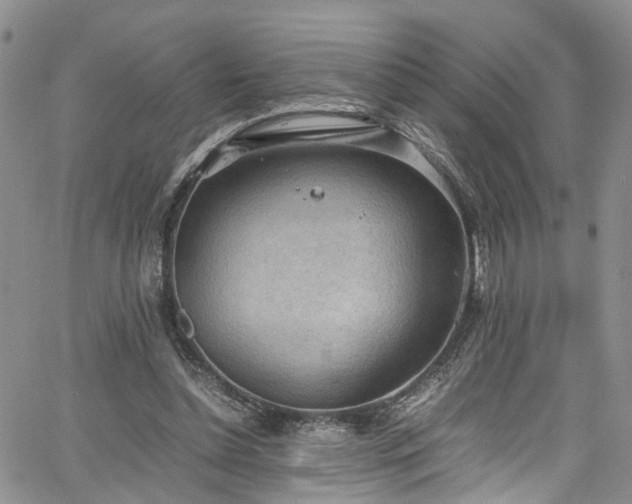 X0000064750348200602101218