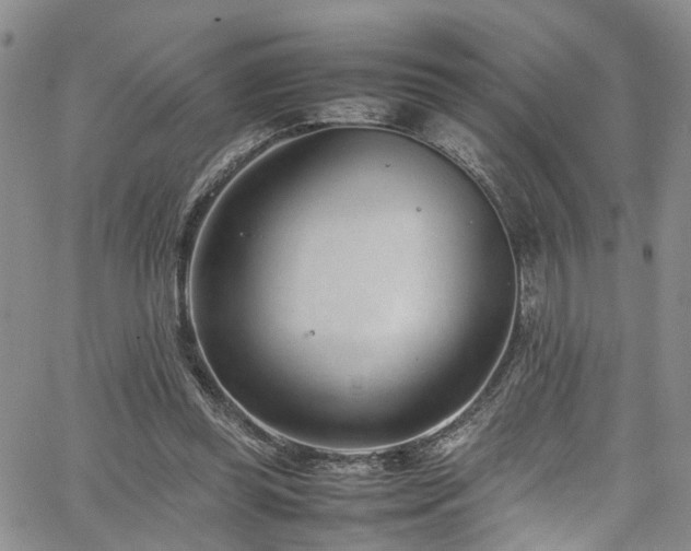 X0000064750349200602101218