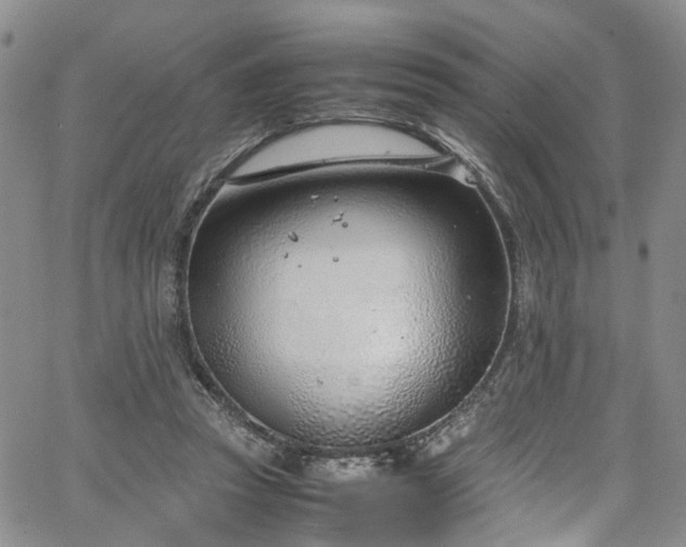 X0000064750353200602101218