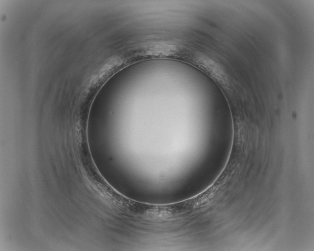 X0000064750354200602101218