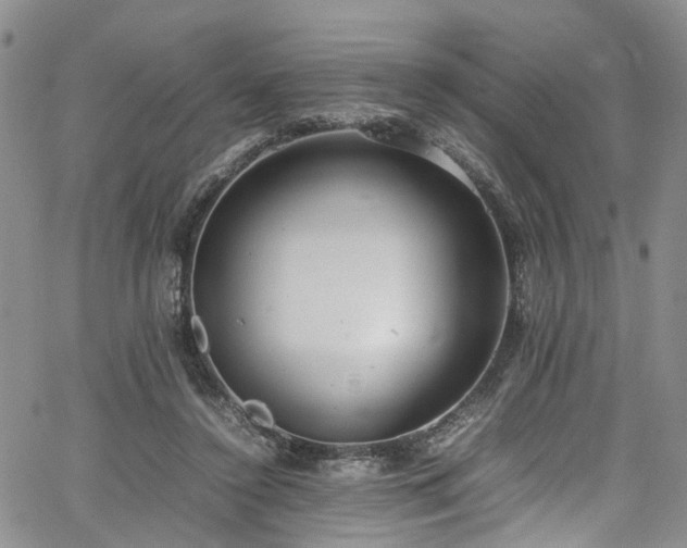 X0000064750356200602101218