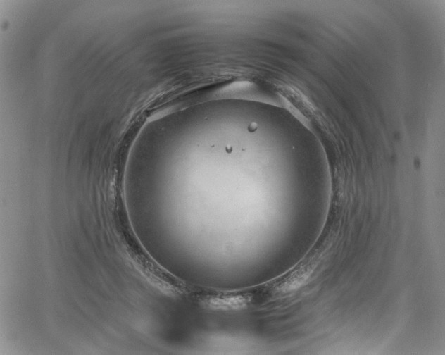 X0000064750357200602101218