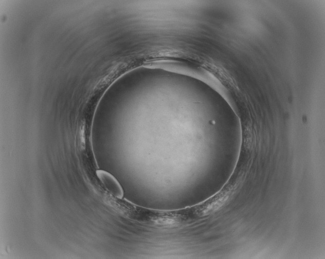 X0000064750358200602101218