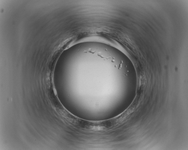 X0000064750360200602101219