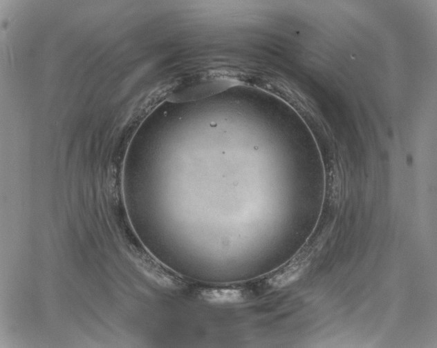 X0000064750361200602101219