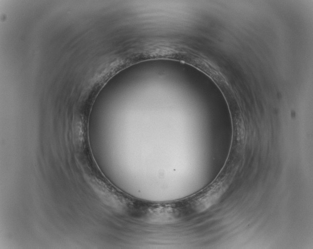 X0000064750362200602101219