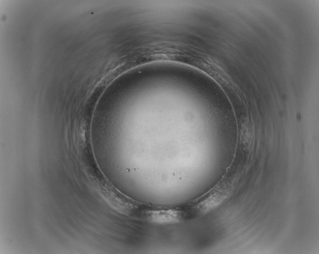 X0000064750363200602101219