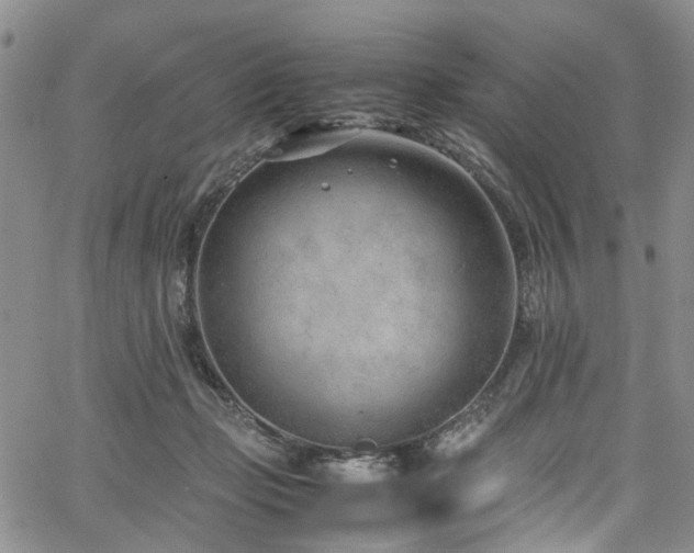 X0000064750365200602101219