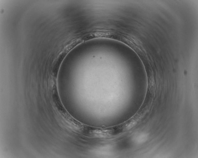 X0000064750367200602101219