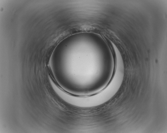 X0000064750368200602101219