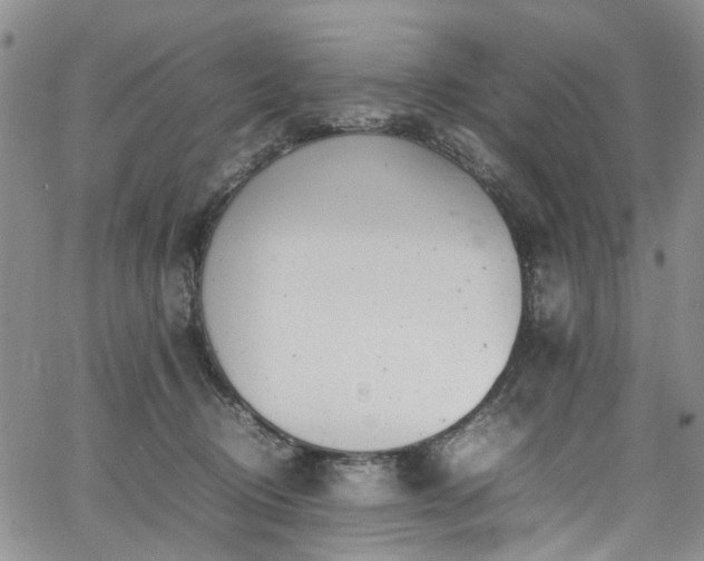 X0000064750370200602101219