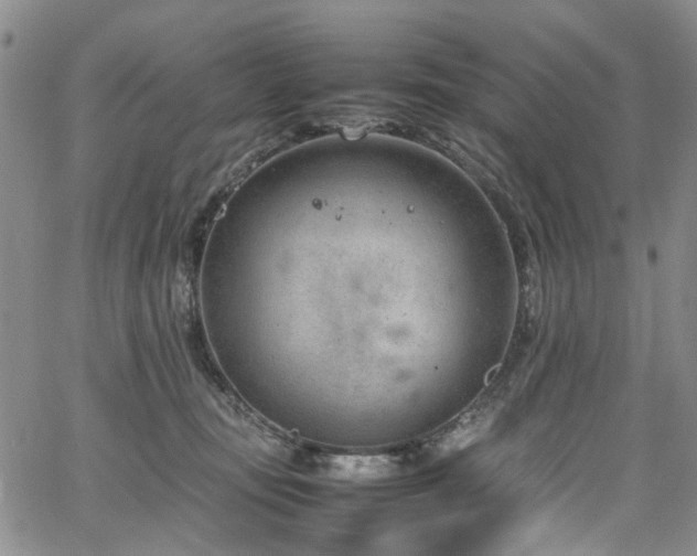 X0000064750371200602101219