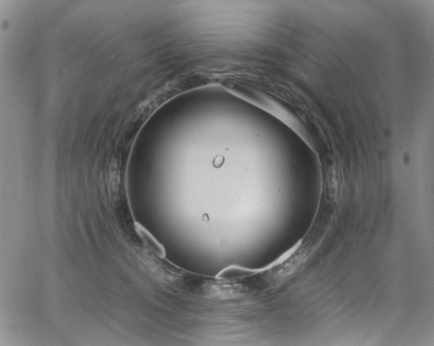 X0000064750372200602101219