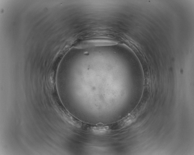 X0000064750373200602101219