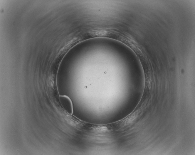 X0000064750374200602101219