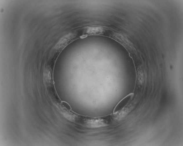 X0000064750375200602101219