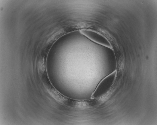 X0000064750376200602101219