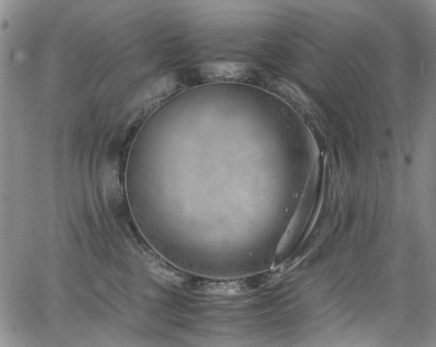 X0000064750377200602101219