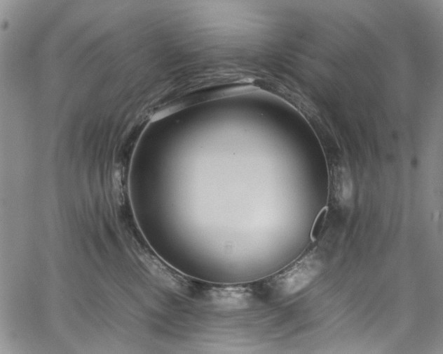 X0000064750378200602101219