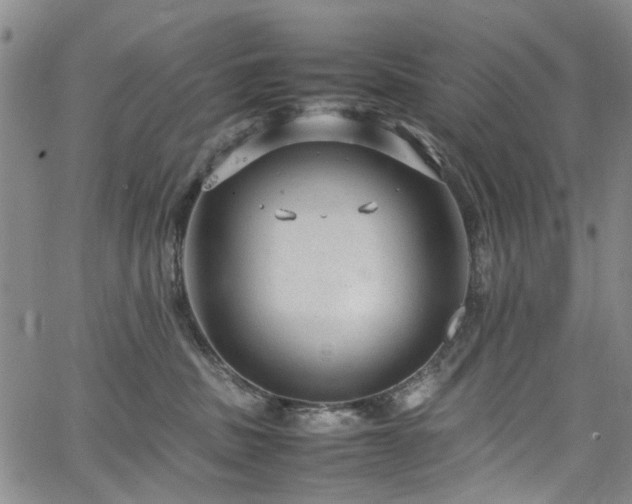 X0000064750379200602101219