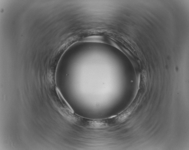 X0000064750380200602101219