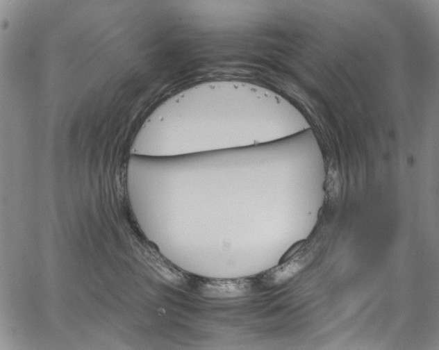 X0000064750381200602101219