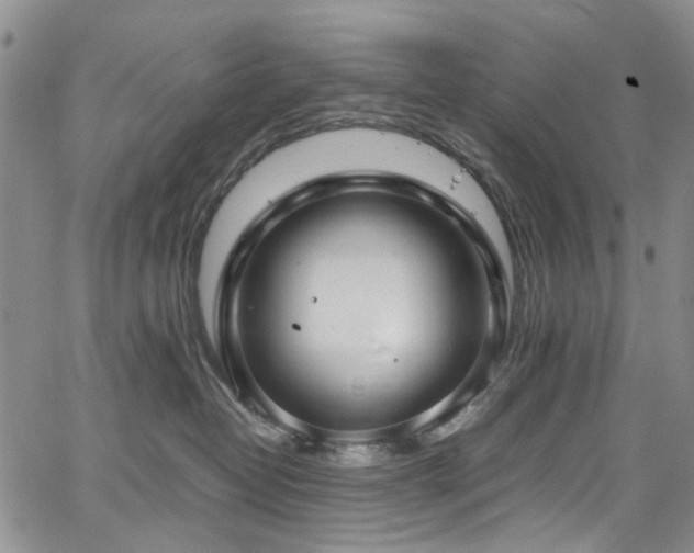 X0000064750382200602101219