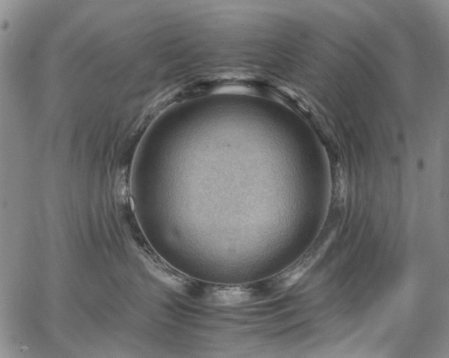 X0000064750383200602101219