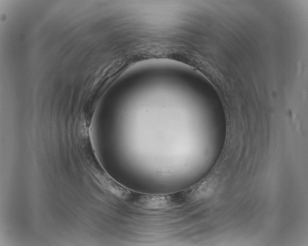 X0000064750384200602101219